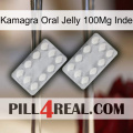 Kamagra Oral Jelly 100Mg India 17